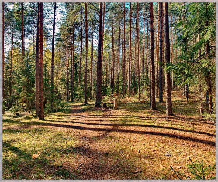 Продам земельные участки СНТ, ДНТ и СХ-1, СХ-3