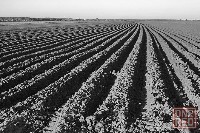 Продам пай сх