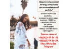 Предлагаем девушкам мега крутые условия работы