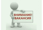 Сотрудник на удалнную работу
