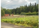 Предлагаю приобрести участок 65 в дачном поселке Пушкино Лайф. Площа ...
